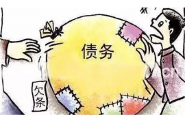 嵊州为什么选择专业追讨公司来处理您的债务纠纷？