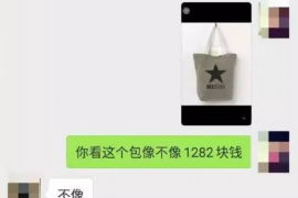 嵊州嵊州专业催债公司，专业催收